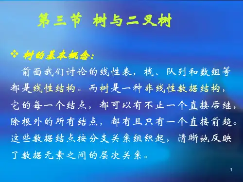 信息技术奥赛辅导树与二叉树