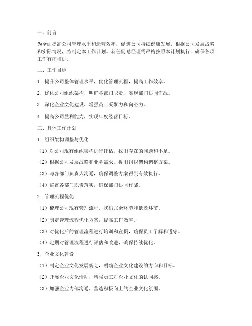 公司新副总工作计划模板