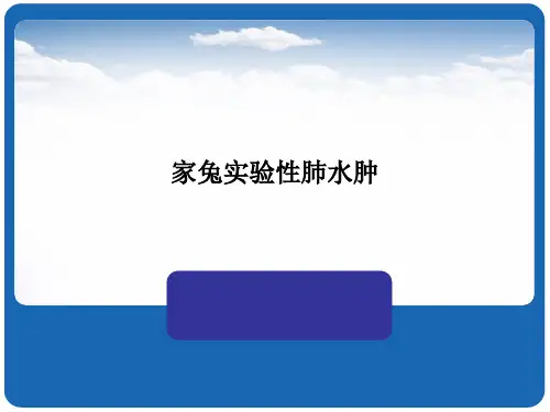 家兔实验性肺水肿