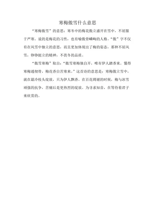 寒梅傲雪什么意思