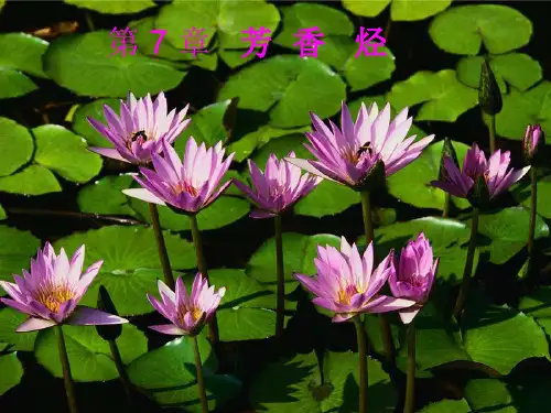 有机化学第7章,ppt课件