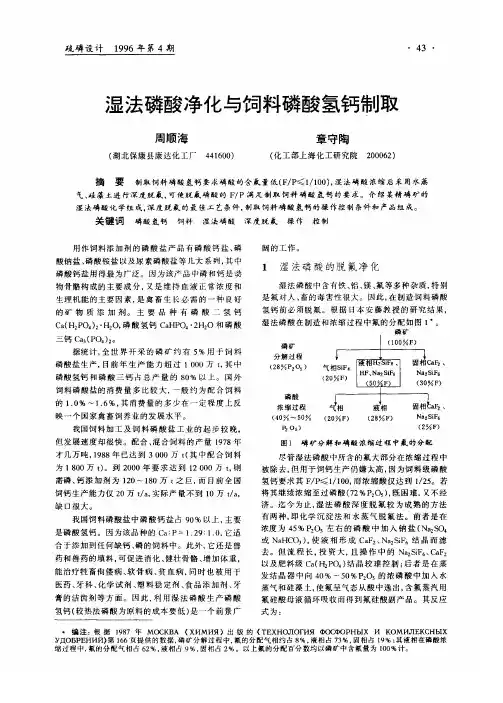 湿法磷酸净化与饲料磷酸氢钙制取