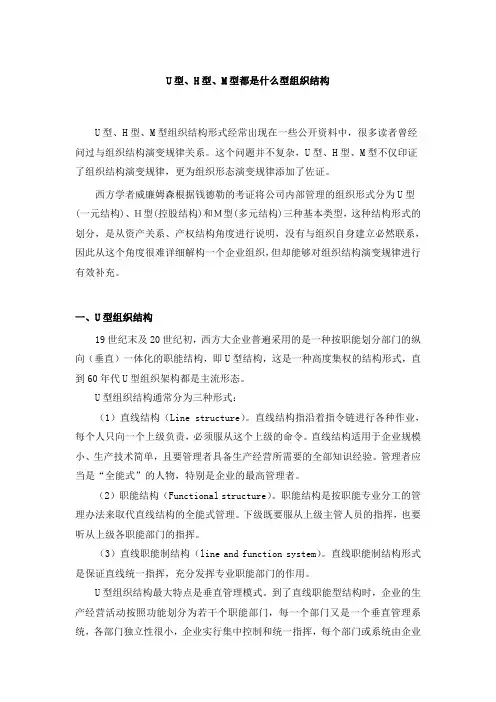 U型、H型、M型都是什么型组织结构(杨少杰)