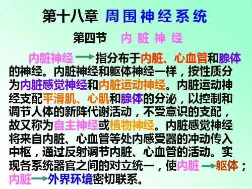 解剖学 内脏神经