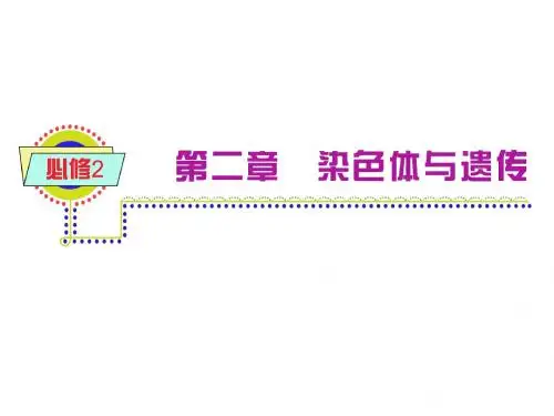 浙江浙科版新课标高中总复习(第1轮)生物：必修2第2章_第2节_遗传的染色体学说