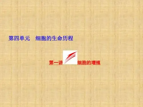 【三维设计】高考生物一轮复习 第四单元 第1讲 细胞的增殖名师优质课件 新人教版必修1