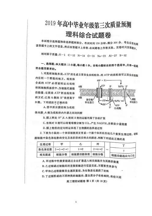 河南省郑州市2019届高三第三次质量检测理综试卷 扫描版含答案