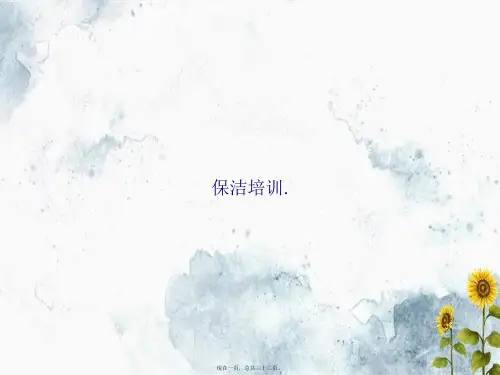 保洁培训.讲课文档