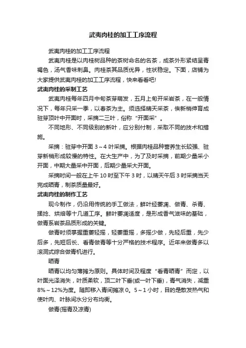 武夷肉桂的加工工序流程