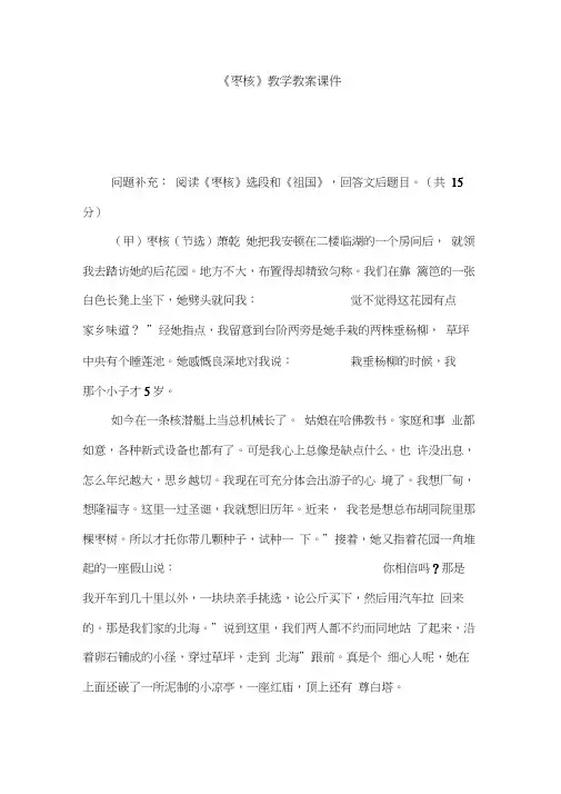 《枣核》教学教案课件