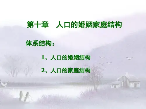 人口的婚姻家庭结构