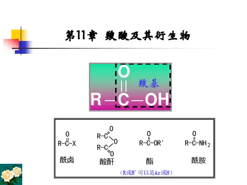 有机化学教学课件：11.1-2羧酸