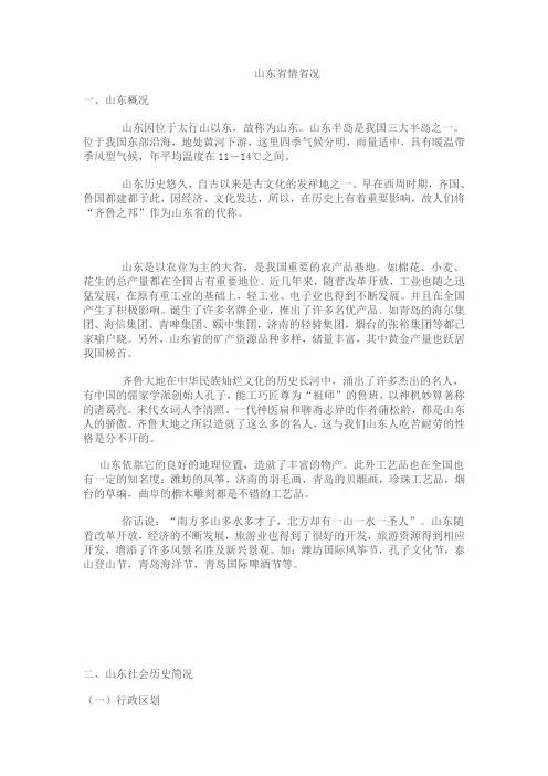 最新山东省情