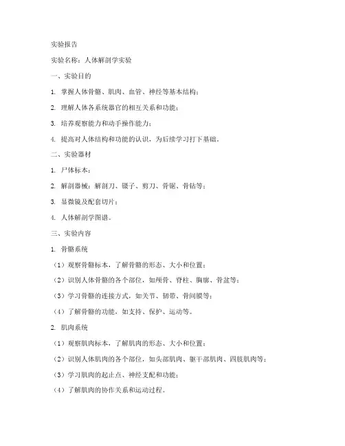 解剖学者实验报告