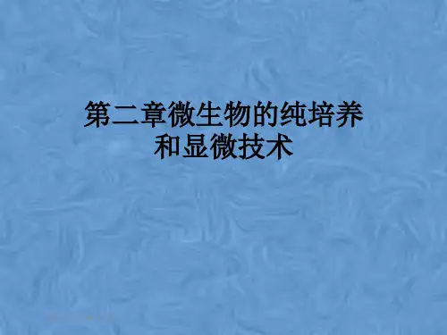 第二章微生物的纯培养和显微技术