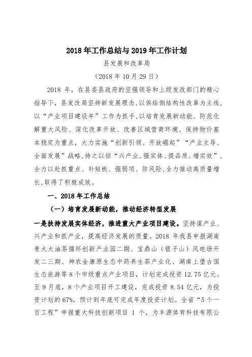 2018年工作总结与2019年工作计划 .doc