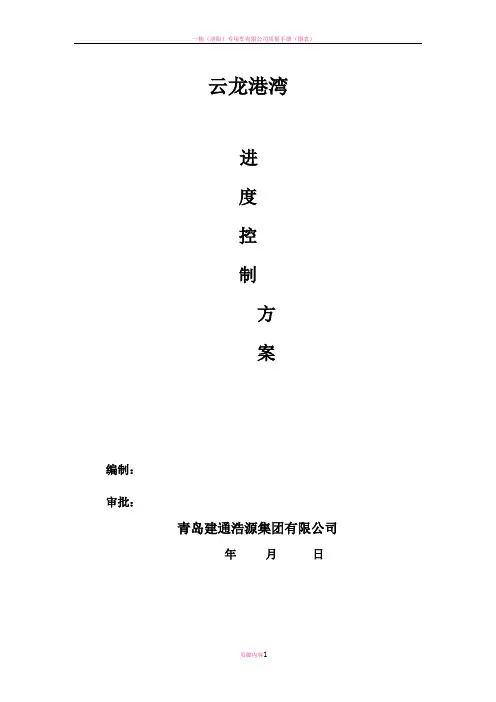 监理进度控制方案