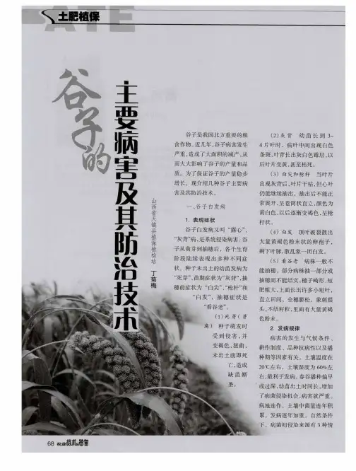 谷子的主要病害及其防治技术