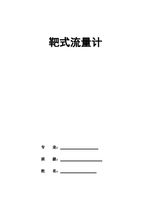 靶式流量计