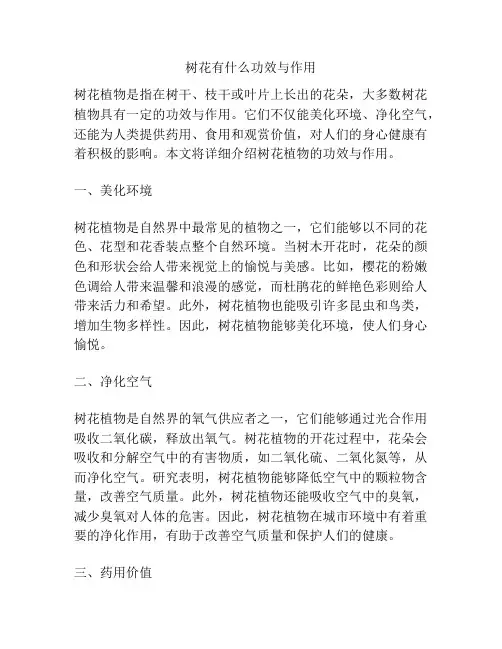 树花有什么功效与作用