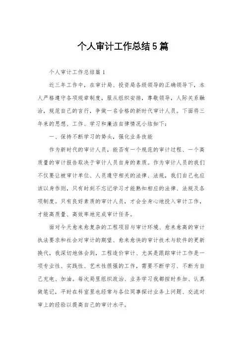 个人审计工作总结5篇