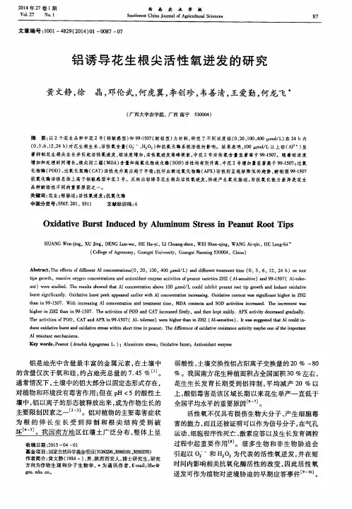 铝诱导花生根尖活性氧迸发的研究