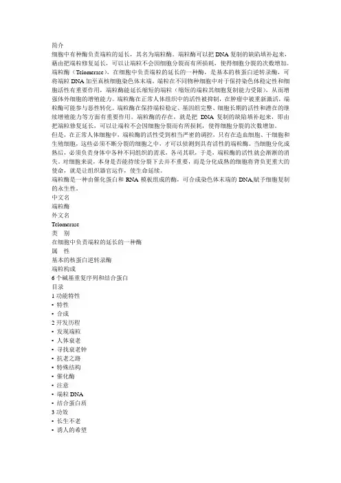 端粒酶