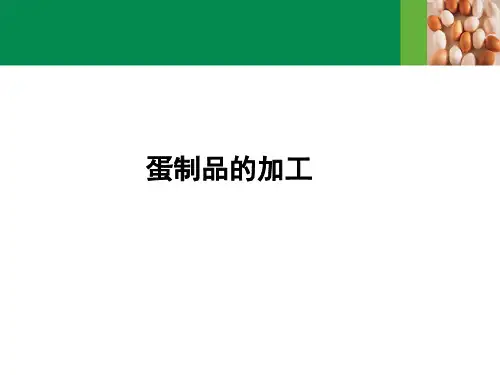蛋制品加工讲解