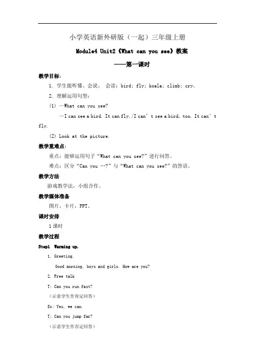 小学英语新外研版(一起)三年级上册新标准  Module4 Unit2 What  can you see教案——第