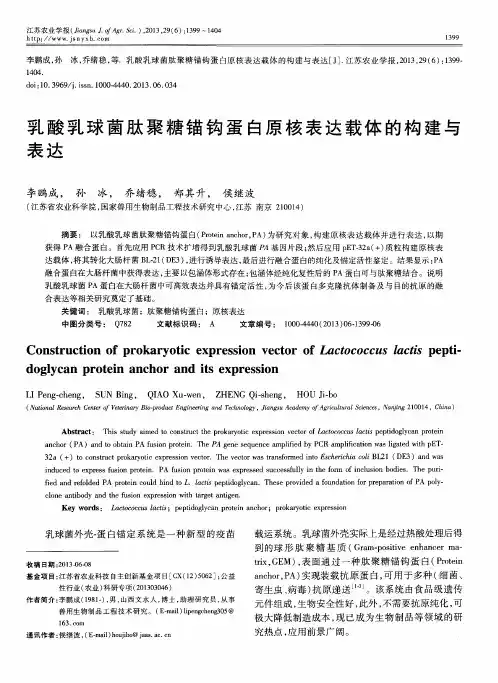 乳酸乳球菌肽聚糖锚钩蛋白原核表达载体的构建与表达