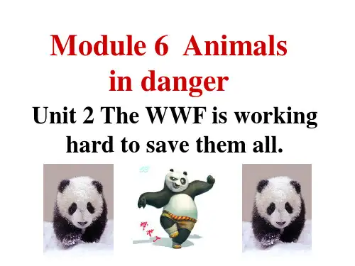 外研版初中英语八上M6U2