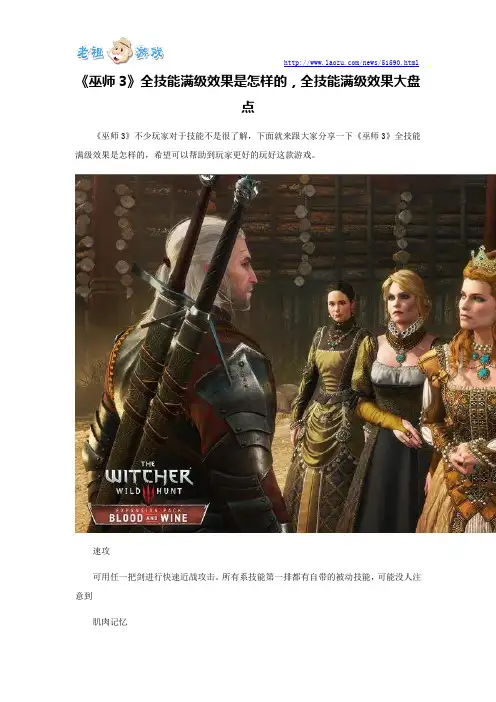 《巫师3》全技能满级效果是怎样的,全技能满级效果大盘点