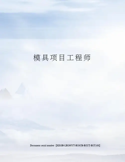模具项目工程师精选版