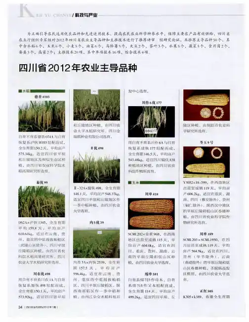 四川省2012年农业主导品种