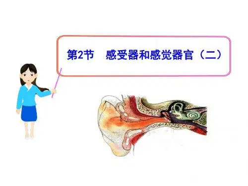 最新-2017-2018学年北师大版七年级生物下册课件：12.2 感受器和感觉器官(二)-PPT文档资料