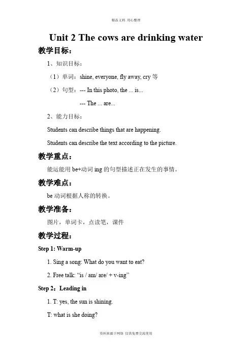 新外研版小学英语六年级下册精品教案Module3 Unit2 The cows are drinking water
