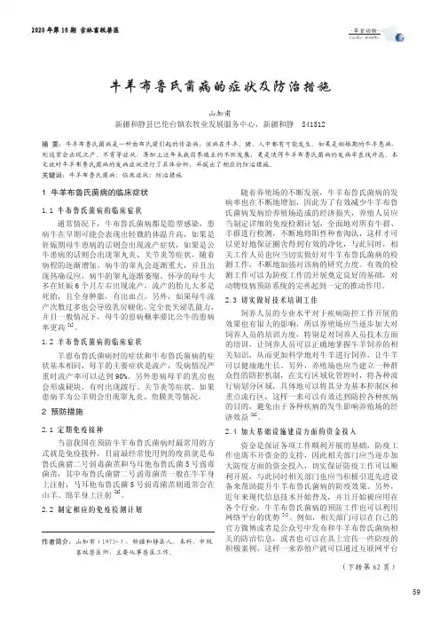 牛羊布鲁氏菌病的症状及防治措施