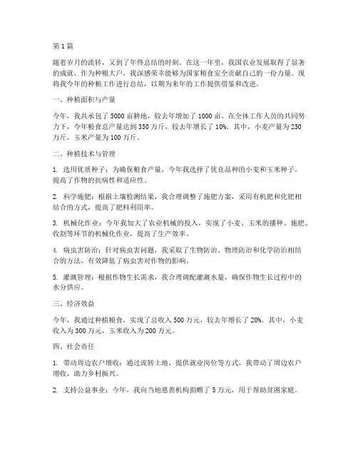 种粮大户年度终总结(3篇)