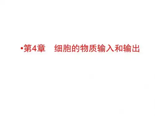 高考生物一轮复习配套课件：必修一第4章 细胞的物质输入和输出