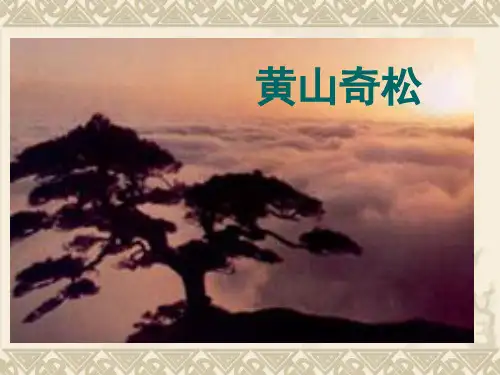 黄山奇松ppt课件