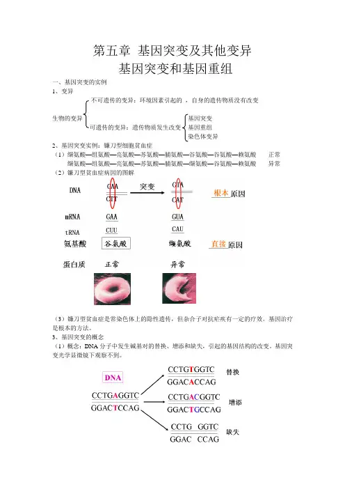 高三生物一轮复习教案基因突变和基因重组