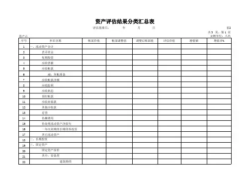 评估结果分类汇总表(表格模板、XLS格式)