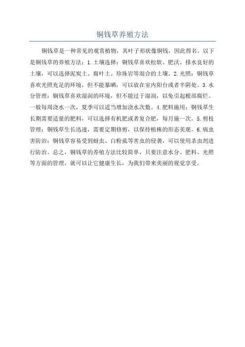 铜钱草养殖方法