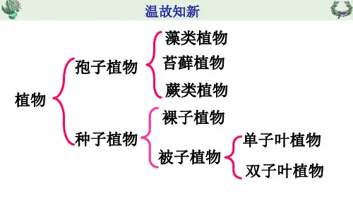 第二节 从种到界课件人教版生物八年级上册
