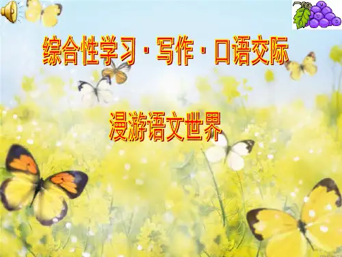 综合性练习《漫游语文世界》PPT课件