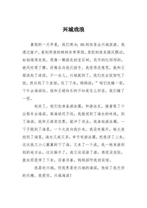 小学记叙文作文：兴城戏浪89