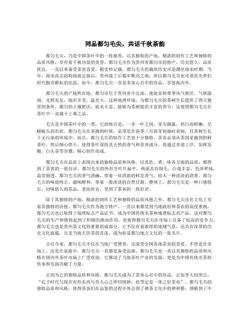 同品都匀毛尖,共话千秋茶韵