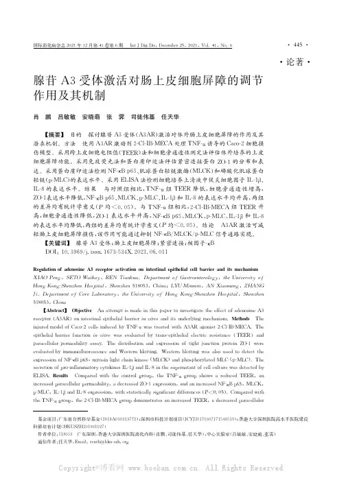 腺苷A3受体激活对肠上皮细胞屏障的调节作用及其机制