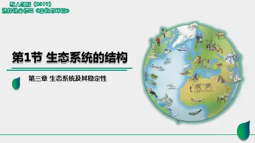 3.1 生态系统的结构(第二课时)高二生物课件(人教版2019选择性必修2)