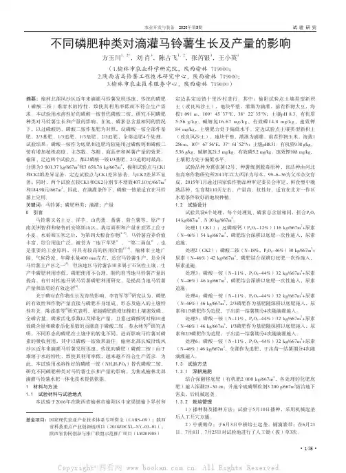 不同磷肥种类对滴灌马铃薯生长及产量的影响